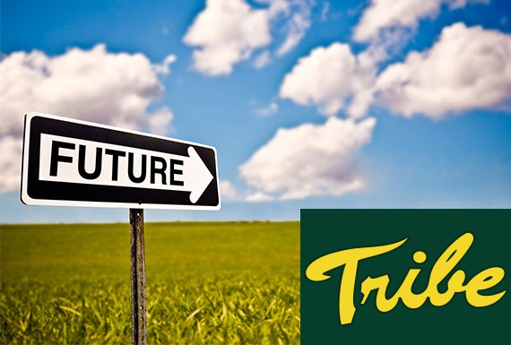 Tribe Future